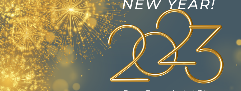 Happy New Year 2023 fire works Wishes from Teresa Isabel Dias founder of MenopausED